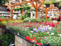 Garden Center at The Home Depot