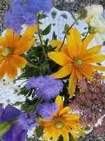 Auburn Pointe Greenhouse & Flowers