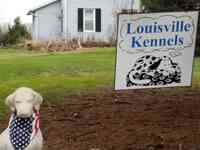 Louisville Kennels Inc