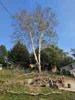 Berens Tree & Excavating