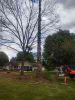 Get'r Done Tree Services LLC