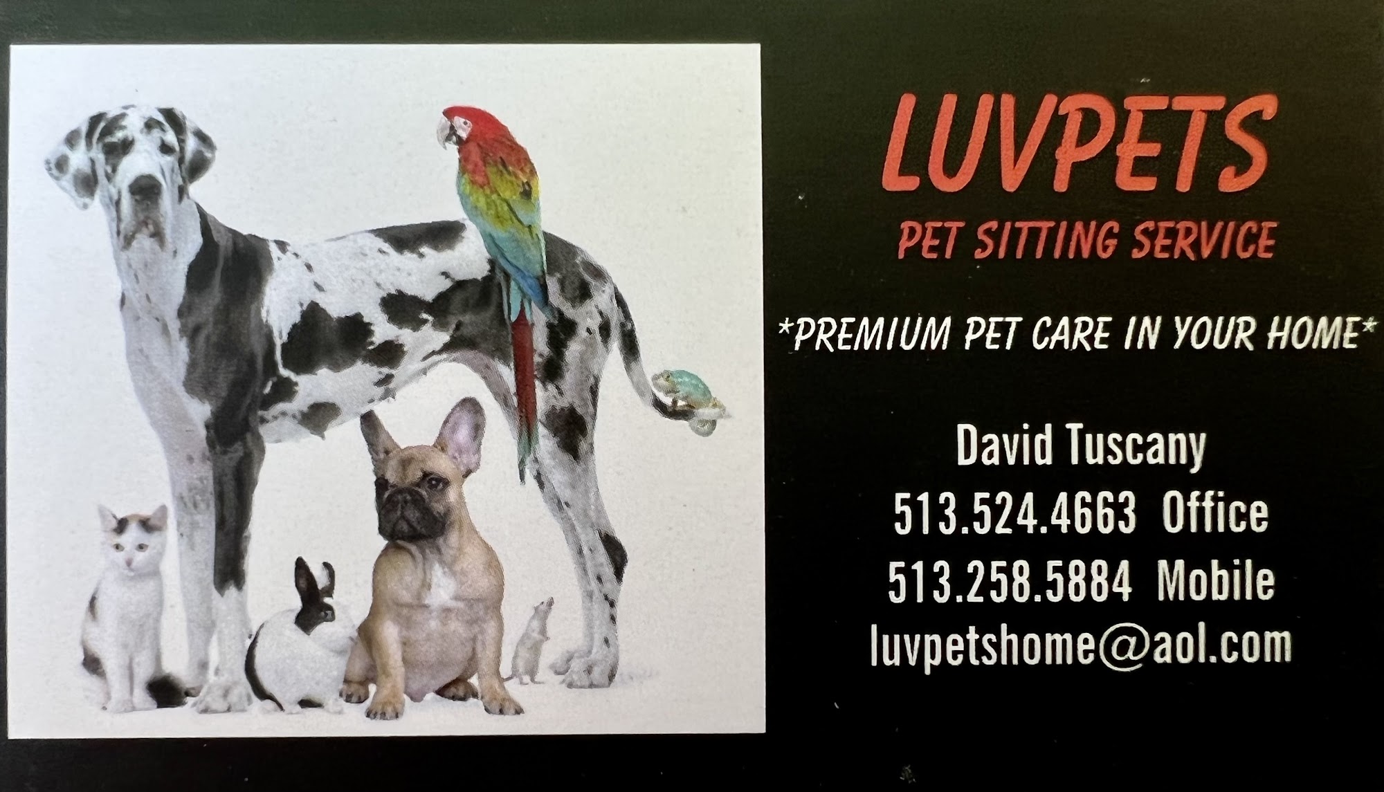 Luvpets Pet Sitting Services Oxford