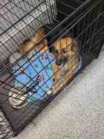 Northeast Ohio SPCA Pet Shelter