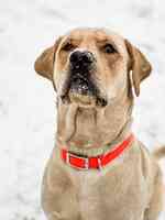 Nostalgically Photography