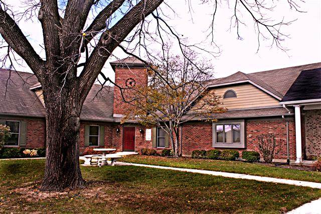 Executive Search Connections