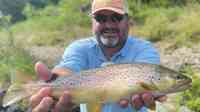 Beavers Bend Fly Shop & Professional Guide Service