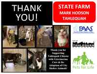 Mark Hodson - State Farm Insurance Agent