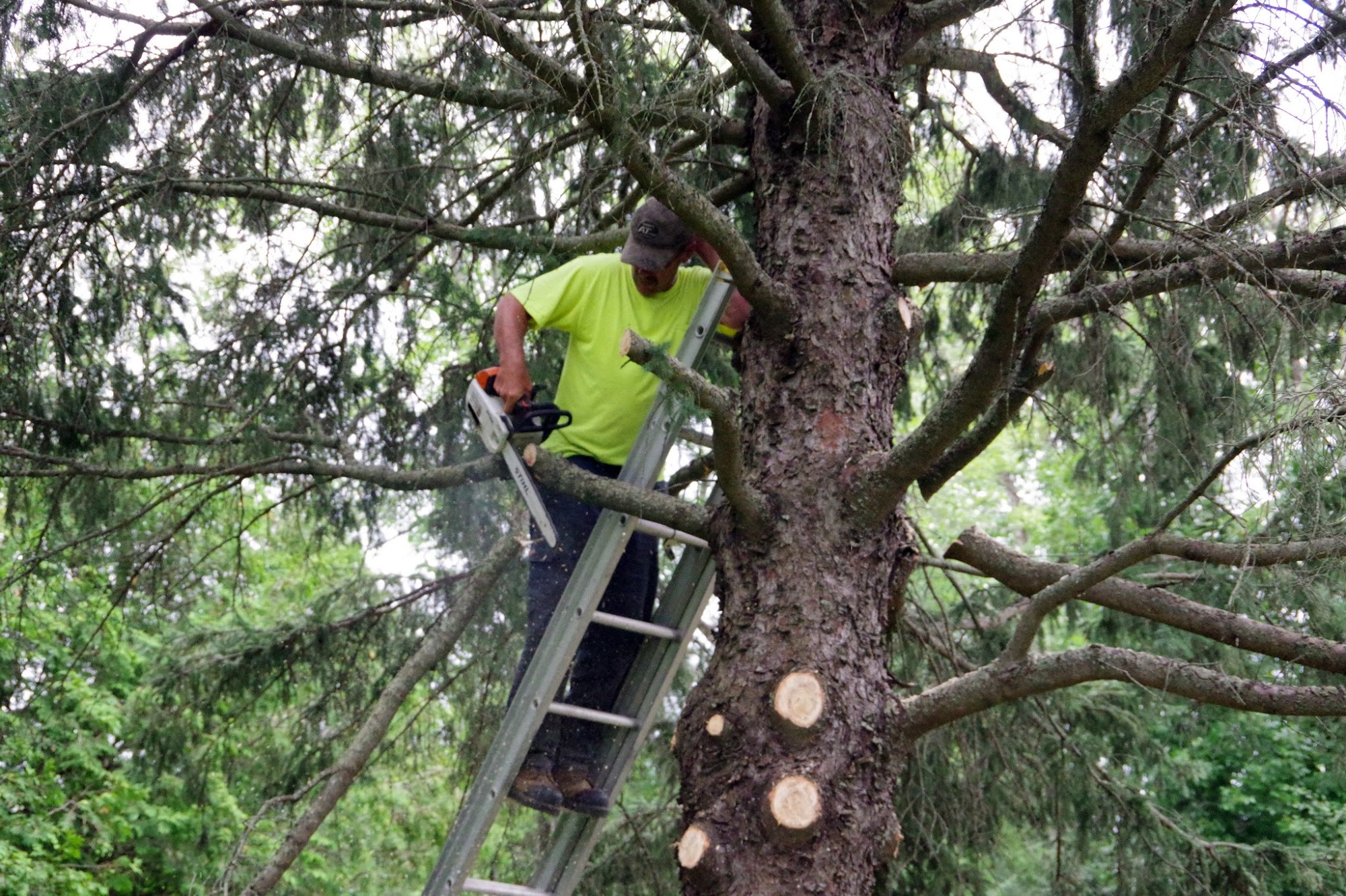 Barn Owl Tree Services 10035 French Settlement Rd, Kemptville Ontario K0G 1J0