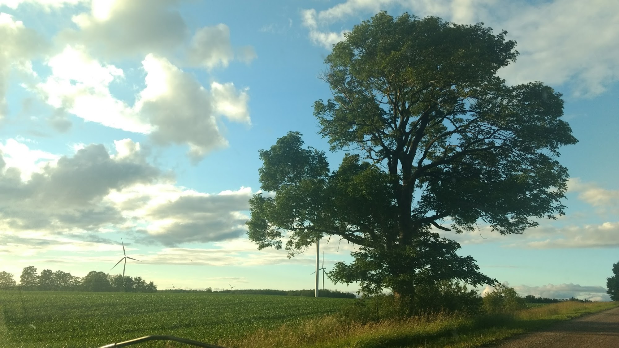 Ashfield Service Centre