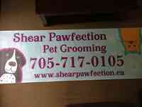 Shear Pawfection Pet Grooming