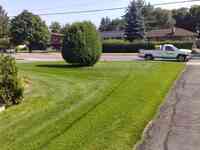 Enviro Masters Lawn Care