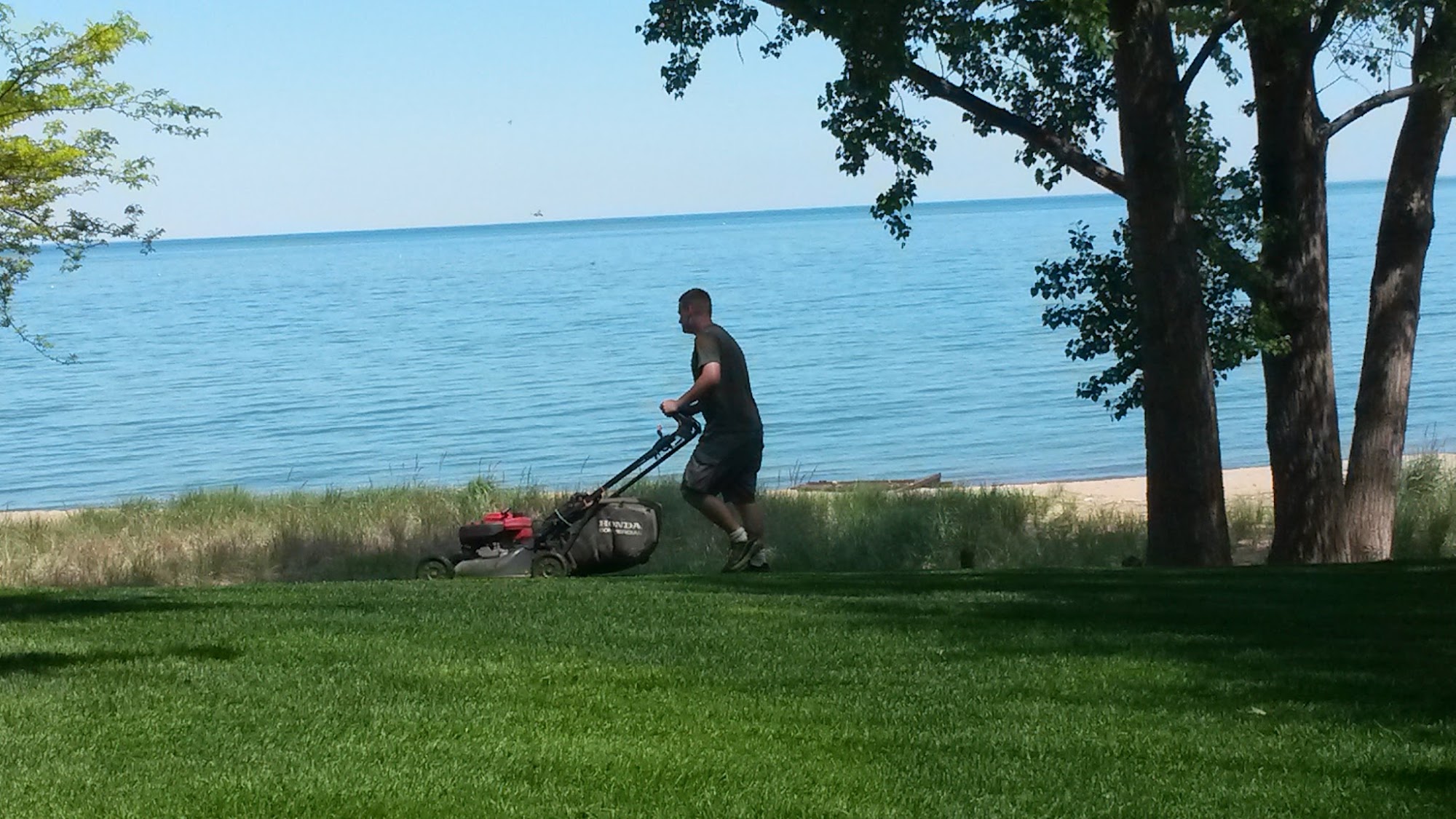 Greenlawn Lawn & Home Services