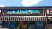 Exotic Pets Toronto