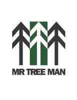 Mr Tree Man