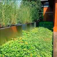 Skyspace Green Roofs