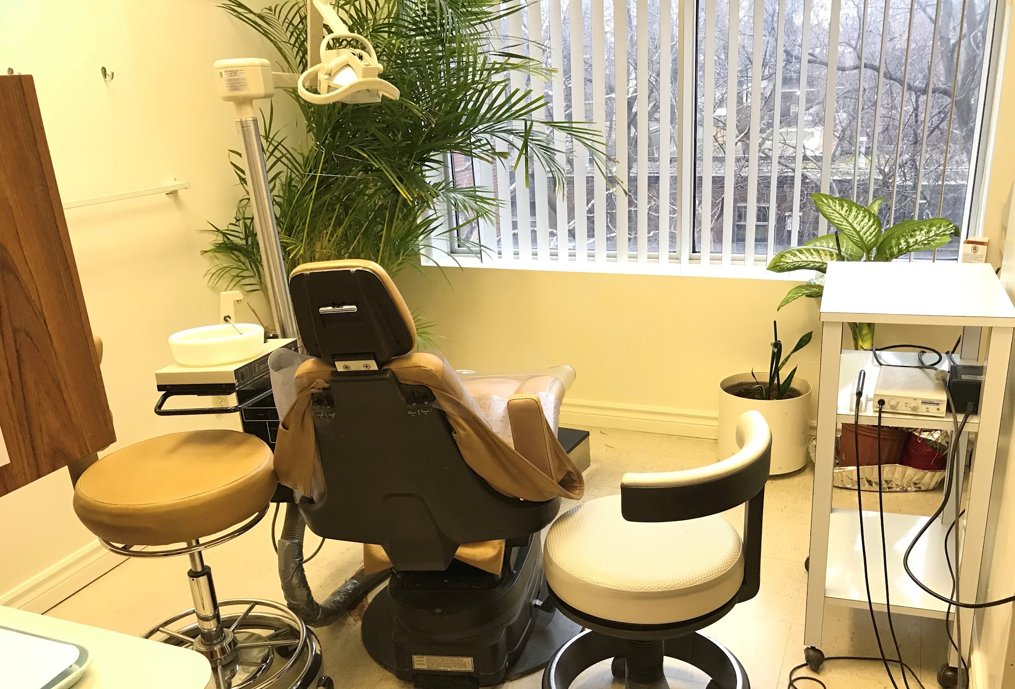 DR. K. L. CHONG, DDS