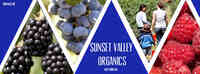 Sunset Valley Organics & Wilt Farms Inc.