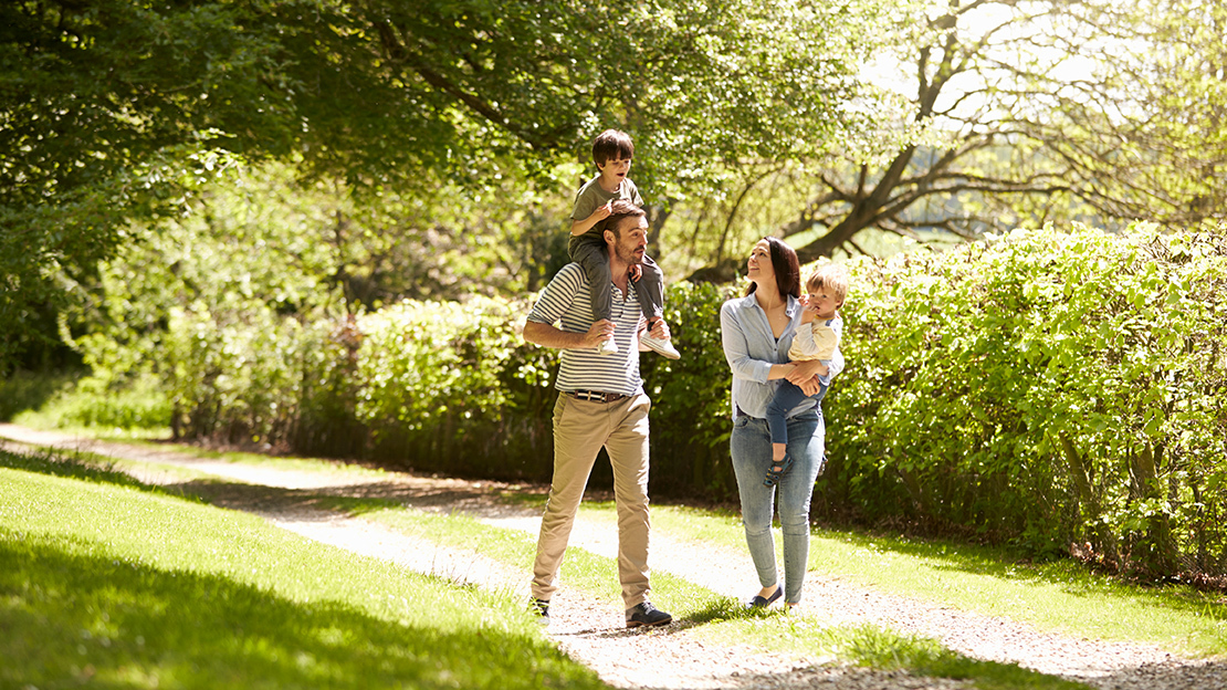 Leprechaun Insurance