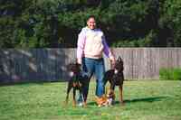 In Home Dog Training