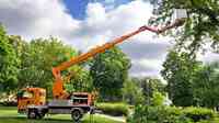 Phil Snell's Tree Service - Tree Removal Oregon City