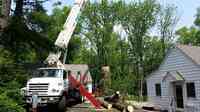 Powell Property Maintenance & Tree Service