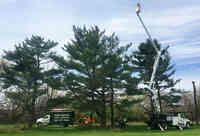 Arader Tree Services Inc