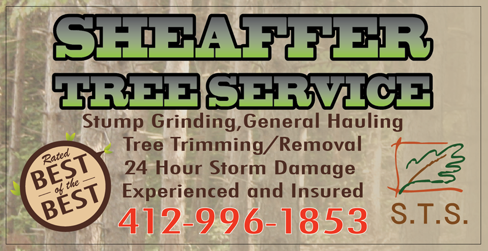 Sheaffer Tree Service 2809 Garretts Run Rd, Ford City Pennsylvania 16226