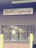 Anthony Sambuchini Hair