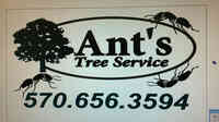 Ant's Tree Service