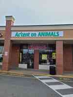 Ac'cent on ANIMALS