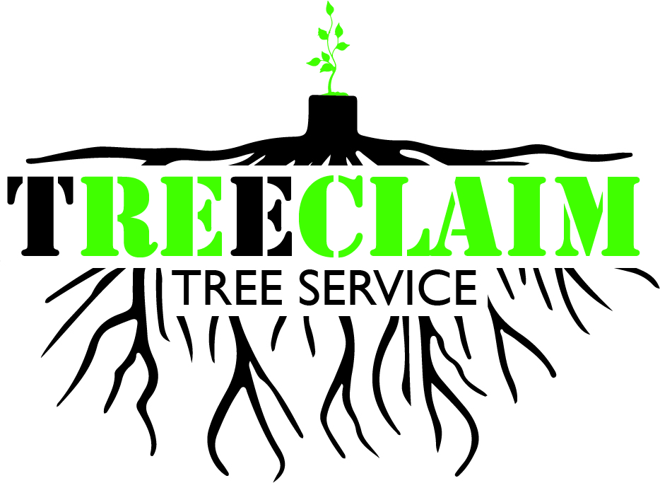 TreeClaim Tree Service Main St, Rouseville Pennsylvania 16344