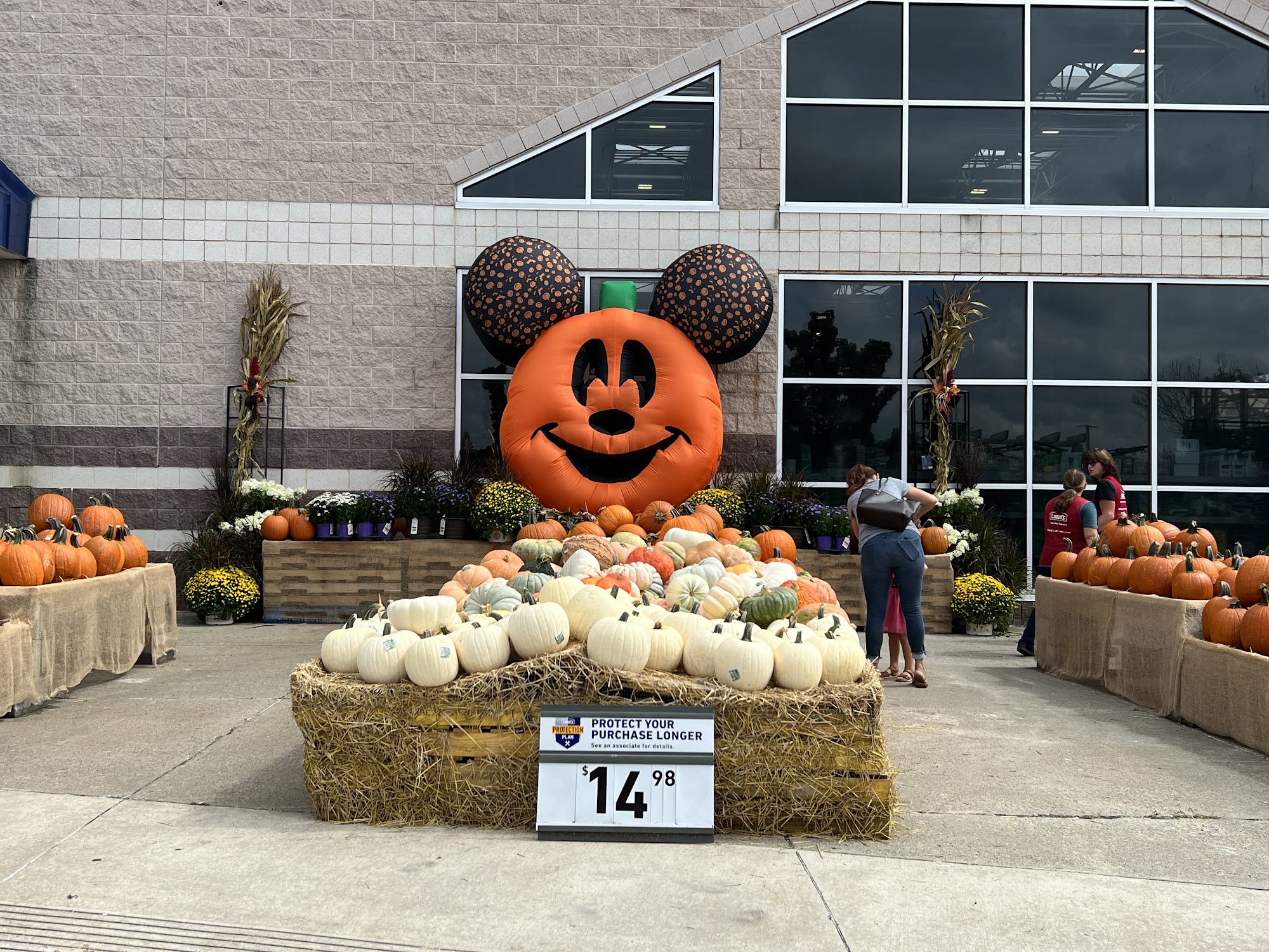 Lowes Washington Pa