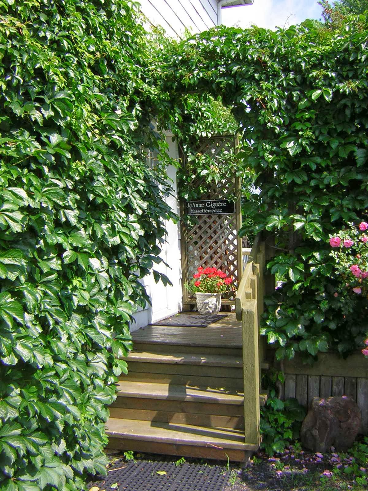 Massothérapeute JoAnne Giguère