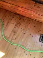 Extermination West-Island