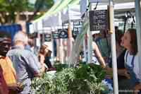 Marché public moulinois - Terrebonne