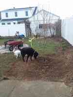 Krawiec Tree Service, Inc