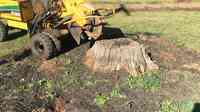 Foldes Stump Removal