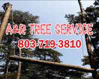 A & R Tree Service