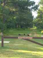 No-Prints Cleaning Service