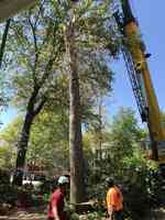 Emery's Tree Service, INC.