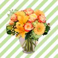 Hanahan Flowers and Gifts