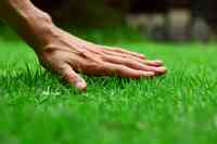 Turf Masters Lawn Care of Greenville