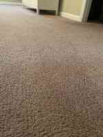 Blueagle Carpet Cleaning