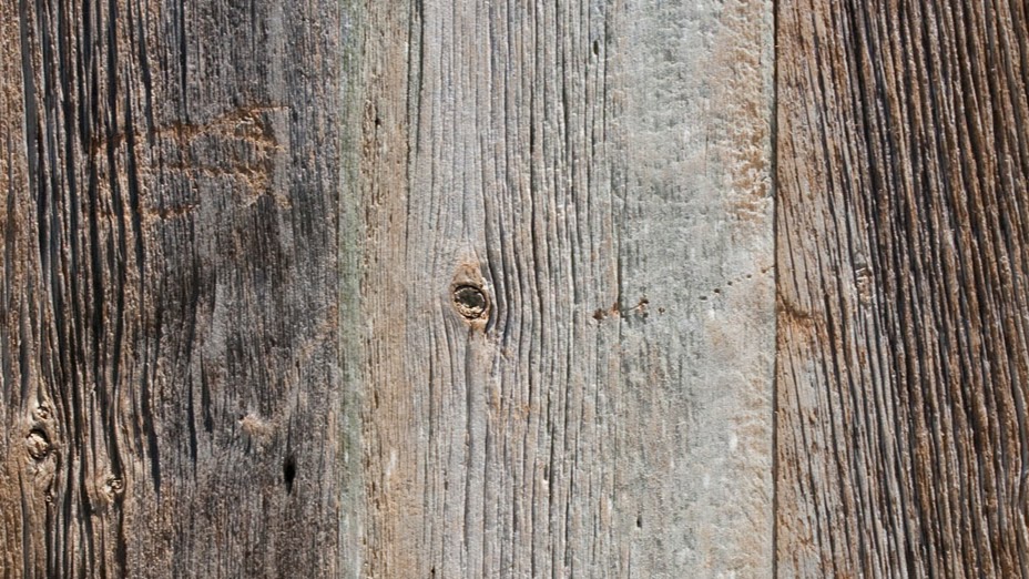 la petite Salon 305 Main St, Radisson Saskatchewan S0K 3L0