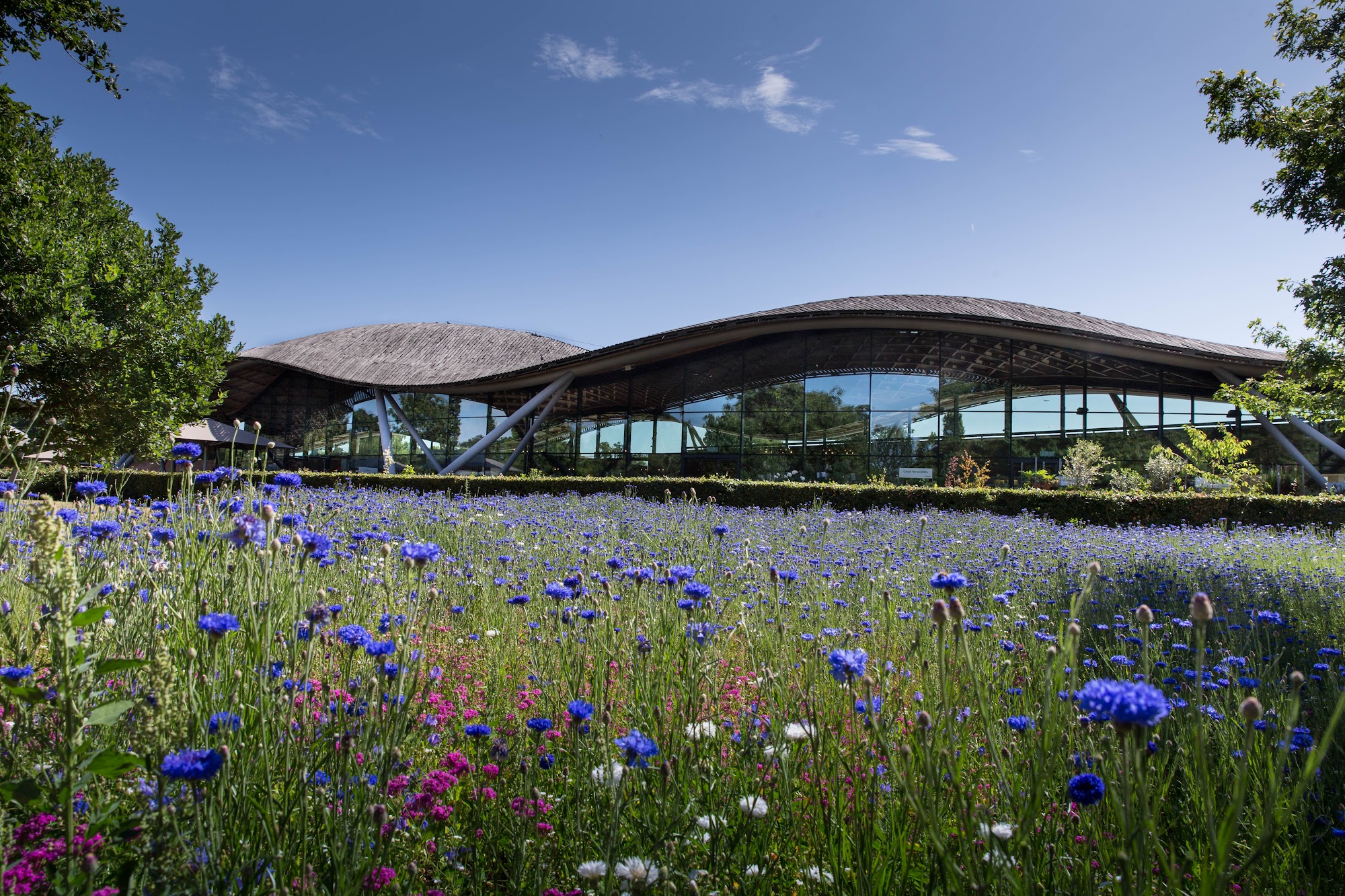 The Savill Garden Egham