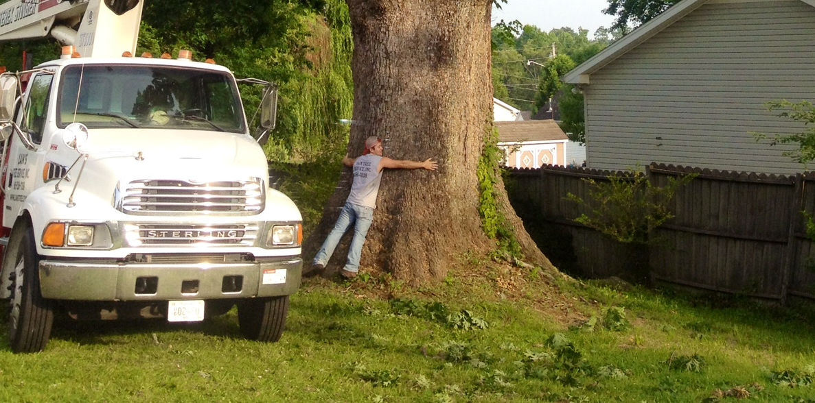 Lain's Tree Services Inc 257 Harley Rd, Ashland City Tennessee 37015