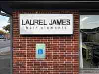 Laurel James Hair Elements