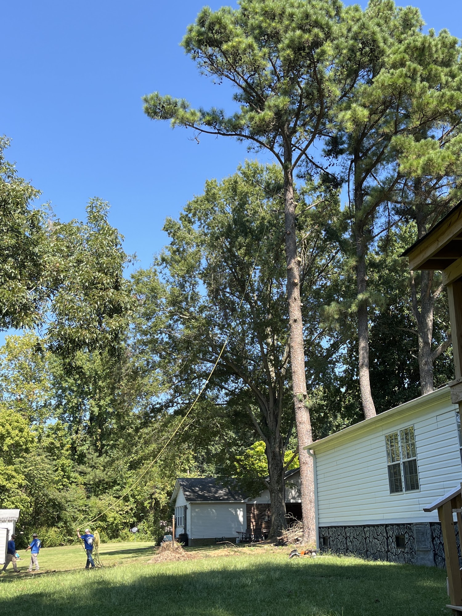 Fowler Tree Service 180 Holly Grove Rd, Covington Tennessee 38019