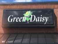 Green Daisy