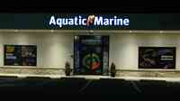 Aquatic Marine